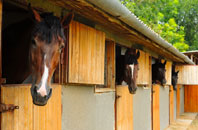 free Stoke Lacy stable construction quotes